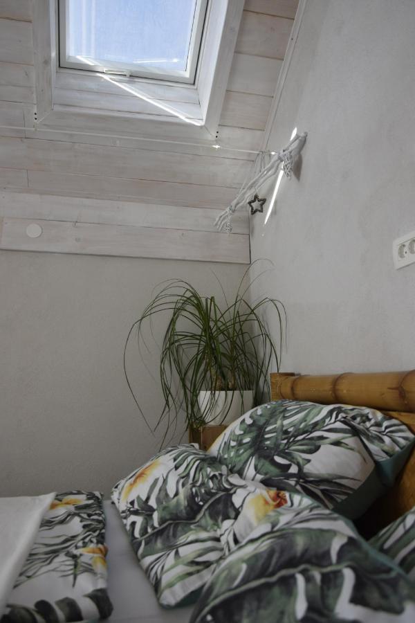 Catalina Lesce-bled Apartment Lesce (Upper Carniola)