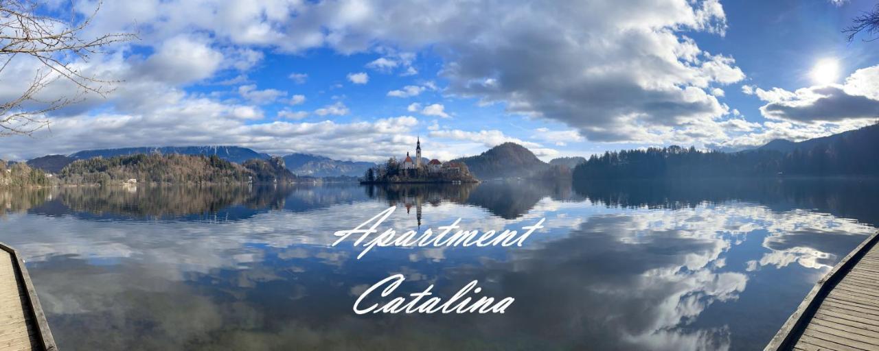 Catalina Lesce-bled *